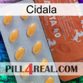 Cidala 43